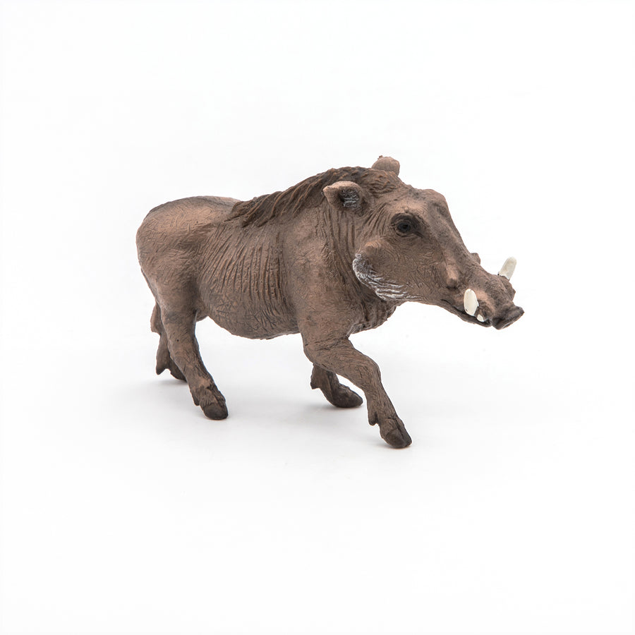 Figurine Phacochère Papo en PVC, thème savane, Collection Animaux sauvages, jouet éducatif idéal pour enfants et collectionneurs