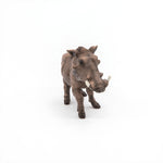 Figurine Phacochère Papo en PVC, thème savane, Collection Animaux sauvages, jouet éducatif idéal pour enfants et collectionneurs