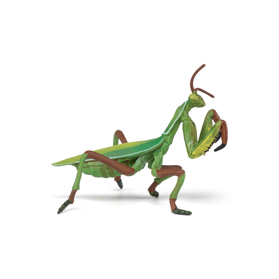 Figurine Mante religieuse Papo en PVC, thème insectes, Collection Animaux des jardins, jouet éducatif idéal pour enfants et collectionneurs