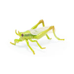 Figurine Sauterelle Papo en PVC, thème insectes, Collection Animaux des jardins, jouet éducatif idéal pour enfants et collectionneurs