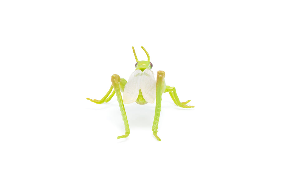 Figurine Sauterelle Papo en PVC, thème insectes, Collection Animaux des jardins, jouet éducatif idéal pour enfants et collectionneurs