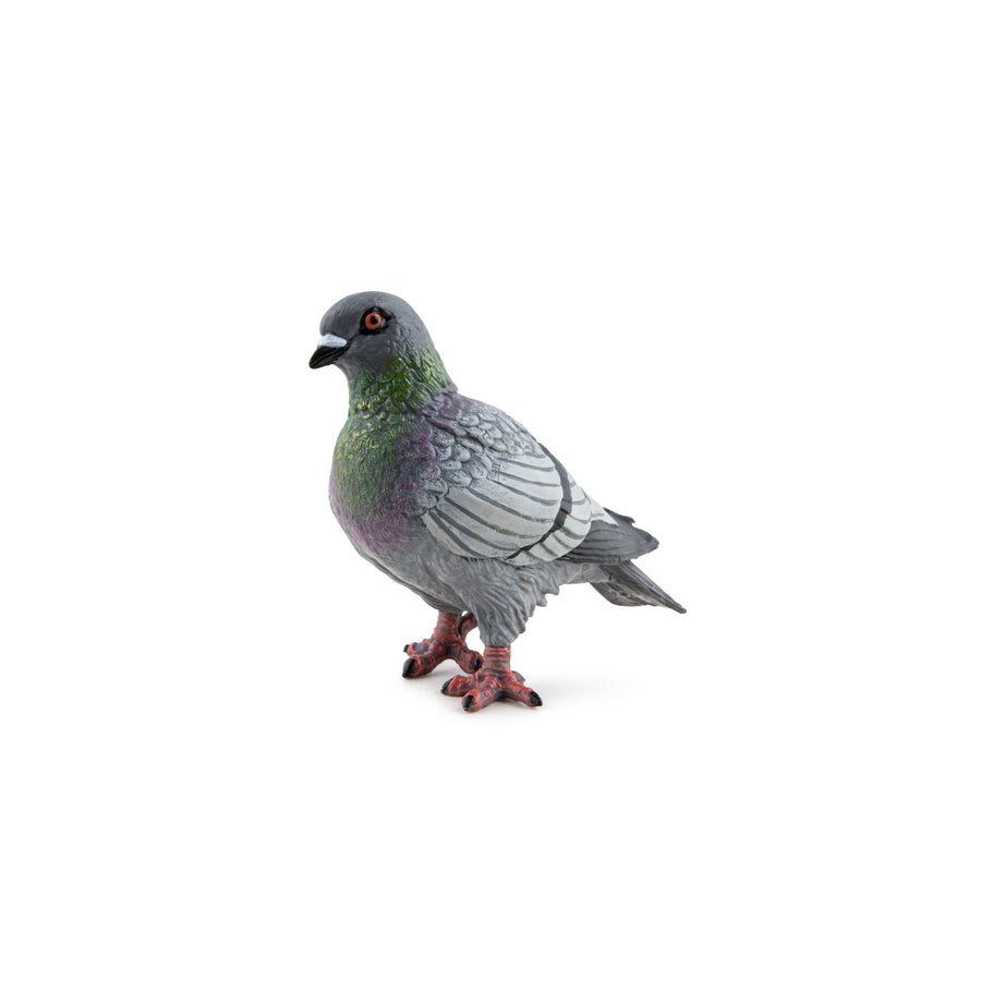 Figurine Pigeon Papo en PVC, thème oiseaux, Collection Animaux des jardins, jouet éducatif idéal pour enfants et collectionneurs