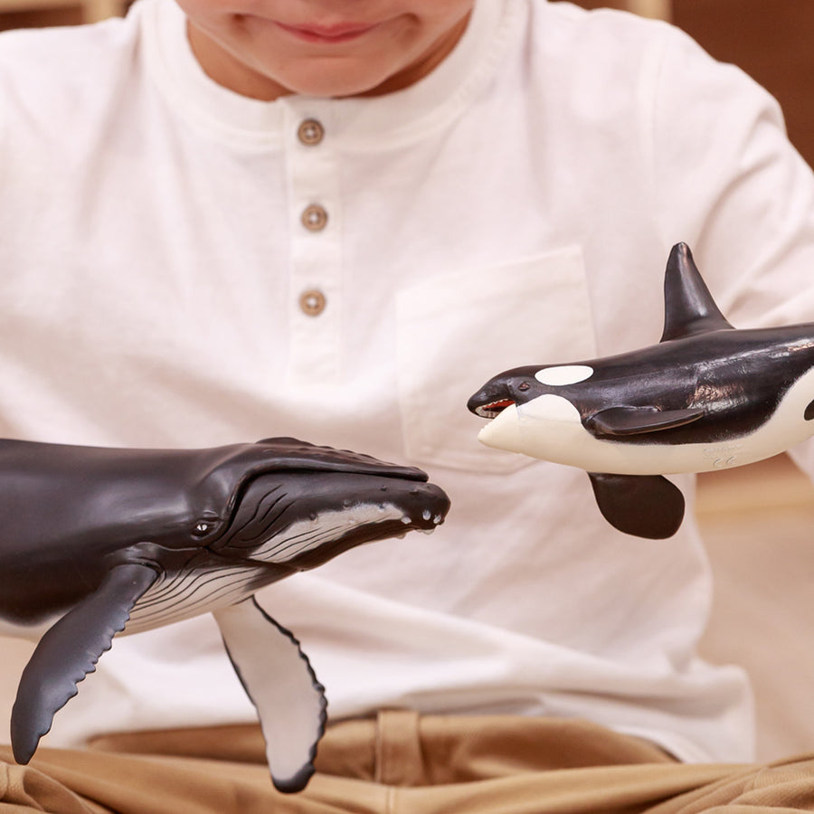 Figurine Orque Papo en PVC, Collection animaux marins, jouet éducatif idéal pour enfants et collectionneurs