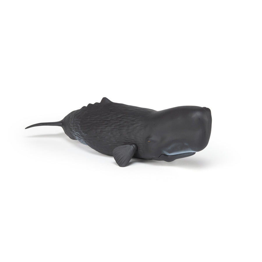 Cachalot Papo en PVC, Collection animaux marins, jouet éducatif idéal pour enfants et collectionneurs