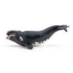 Figurine Baleine franche Papo en PVC, Collection animaux marins, jouet éducatif idéal pour enfants et collectionneurs